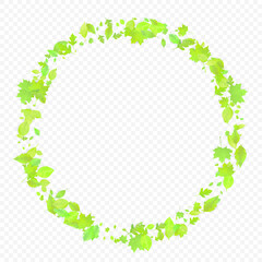 Leaves Falling Spring Flying Foliage Green Leaf