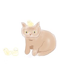 猫と小鳥の水彩イラスト