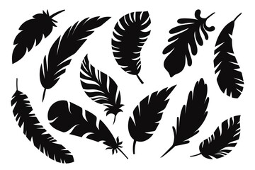Black feather shapes. simple decorative icons, natural elements silhouettes, birds plumage objects, vintage logo symbols, vector set