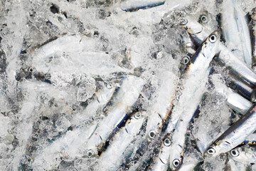 Anxoas recién pescadas en una lonja de pescado / pescaderia. Pesca, fresco, frescor, comida, dieta...