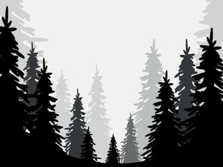 Fototapeta premium Forest background. Coniferous trees, pine trees vector silhouette.