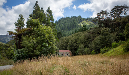 Landscape, field, nature, grass, sky, agriculture, countryside, green, rural, meadow, farm, country, summer, hill, land, blue, tree