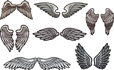 Hand Drawn Wings. Set of hand drawn bird or angel wings of different shape in open position Vector Illustration