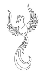 Quetzal bird. Editable outline stroke. Vector line illustration.