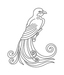 Greater bird-of-paradise tropical bird. Editable outline stroke. Vector line illustration.