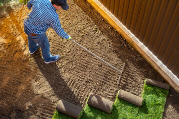Gardener applying turf rolls in the backyard