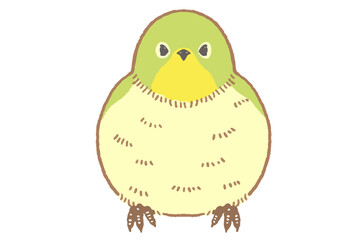 メジロのイラスト素材