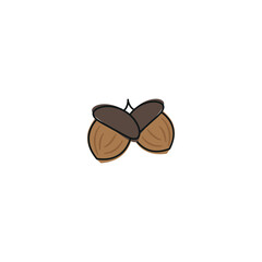 Isolated acorns vector illustration.