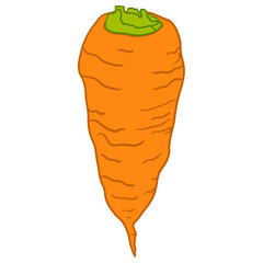 Cute Carrot Hand Drawn