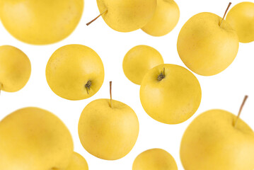 Levitation of golden ripe apples isolated on transparent background.