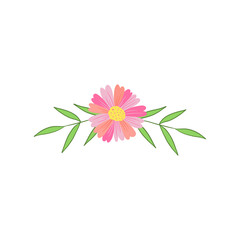 Colorful Flower Decoration