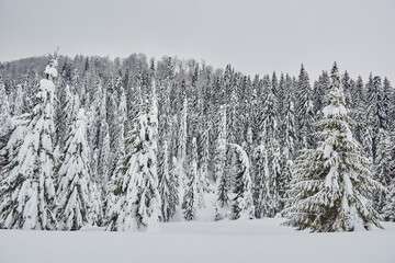Winter landscape in the mountains