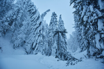 Winter landscape in the mountains