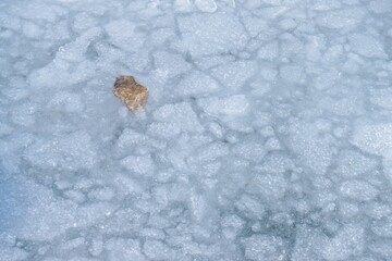 Something in the ice of a frozen lake - 563834510