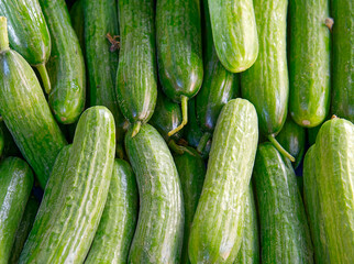 Organic green cucumbers top view close up, fresh vegan food background.