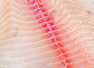 Raw fish fillet. Macro background. Texture of fish fillet.