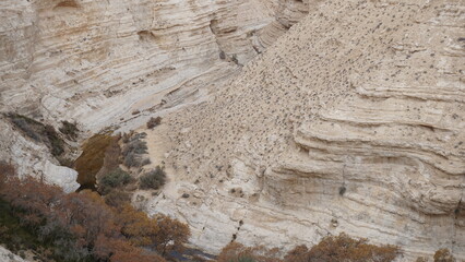 The view from above close to the end of the hiking trail in the En Avdat National Park in the Negev desert in Israel in the month of January