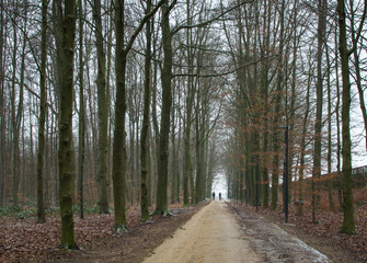 Beautiful view of Gaasbeek park