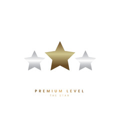 The gold Star with two Silver, vector gold star Logo. star Symbol  Icon Vector Template.