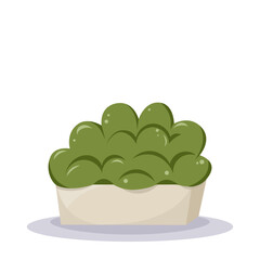 Bush. Home plant in the minimalistic pot. Home decor and gardening concept. Cute isolated vector illustration for product design and decoration