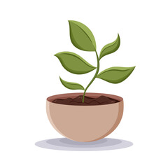 Sprout. Home plant in the minimalistic pot. Home decor and gardening concept. Cute isolated vector illustration for product design and decoration