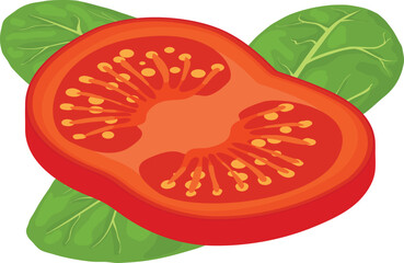 Salad ingredient icon isometric vector. Fresh red tomato slice and spinach leaf. Organic food, healthy nutrition