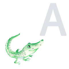 Letter A, uppercase, alligator, cute kids colorful animals ABC alphabet. Watercolor hand drawn illustration isolated on white background. Can be used for alphabet or cards for kids learning English