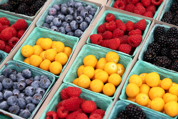 Various berries in boxes