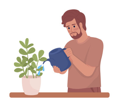 Man watering houseplants semi flat color vector character. Gardening chore. Editable figure. Half body person on white. Simple cartoon style illustration for web graphic design and animation