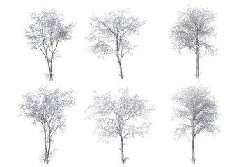 Fototapeta premium 3D render forests and nature during winter