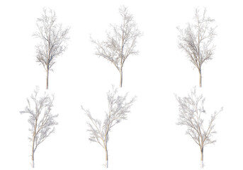 Obraz premium 3D render forests and nature during winter