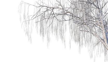 3D render forests and nature during winter