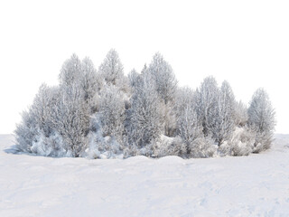 3D render forests and nature during winter