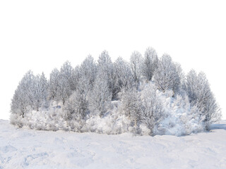 3D render forests and nature during winter