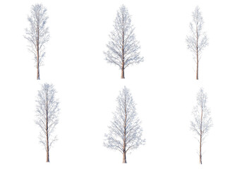 3D render forests and nature during winter