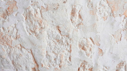 Concrete Wall Stock Photo. Obsolete Plaster Texture. Whitewash Surface. High quality Photo