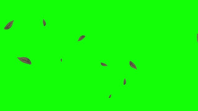 Animated falling leaves with green screen chroma key background
