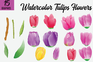 Watercolor Flowers Graphic Clipart