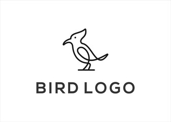 Fototapeta na wymiar Cockatoo bird logo design template