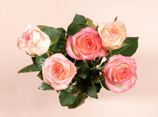 Pink gentle roses bouquet on pale pastel pink background. Flat lay, top view. Festive greeting card.