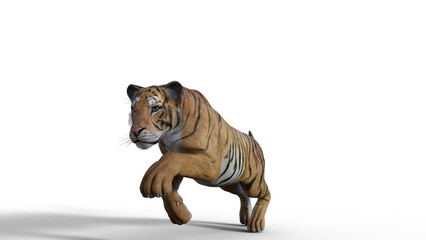 Tiger 3D