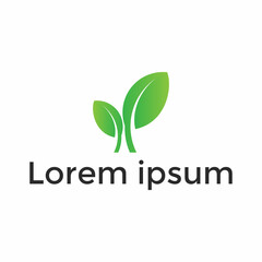 leaf logo design vector template