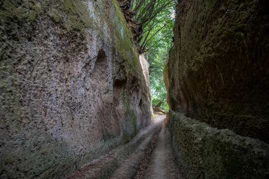 Narrow road admist rocks under tree