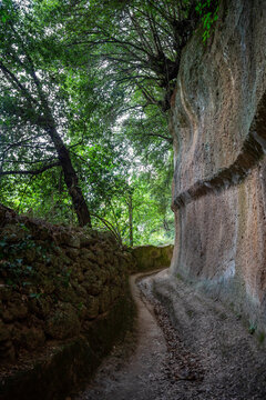 Narrow road amidst rocky mountains under tree