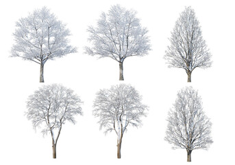 3d render trees and mountains during winter