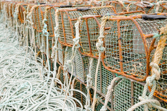Stack of shellfish cages arranged in row