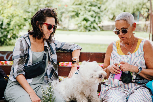 Shih Tzu sitting amidst women on bench in park