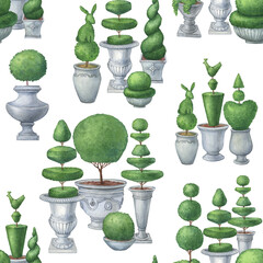Seamless pattern with topiary, evergreen trimmed geometric shrubs. Tree in grey pot for home patio decoration. Hand drawn watercolor painting illustration isolated on white background - 563853378