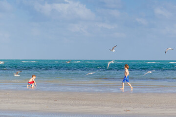 Two little kids boys having fun on tropical beach, happy best friends playing, friendship concept. Siblings brothers running in water and catching seagull birds. Family vacations on ocean.