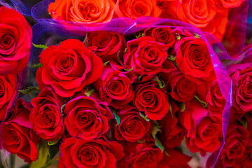 赤い薔薇の花束